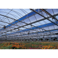 High tech hydroponic greenhouse for sale